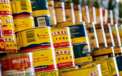 Your Survival Food Guide