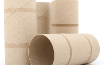 Surviving Resource Shortages