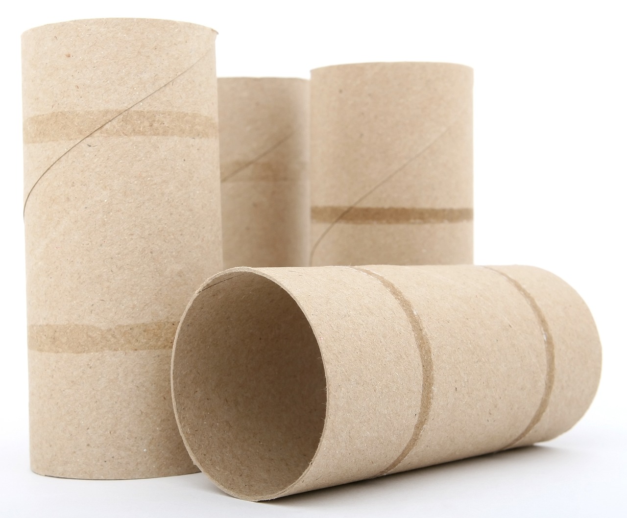 roll-1239215_1280