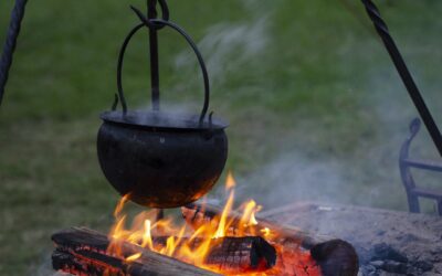 Stone Age Cooking for Survival