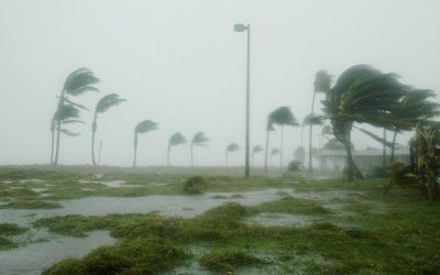 Hurricane & Tornado Emergency Preparedness Tips