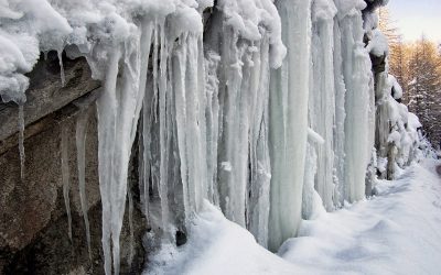 Prepare For The Winter