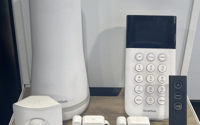 The Ultimate Guide to Advanced Security Systems: Alarms and Intrusion Detection for Survival