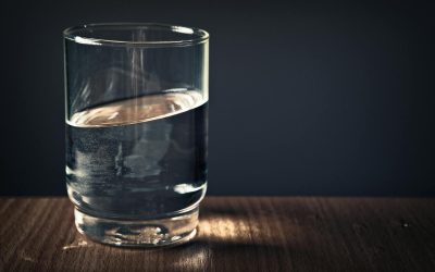 Algae Blooms and How to Filter Affected Water