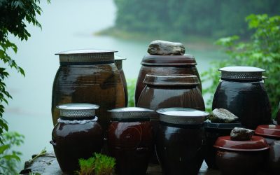 Rainwater Collection 101