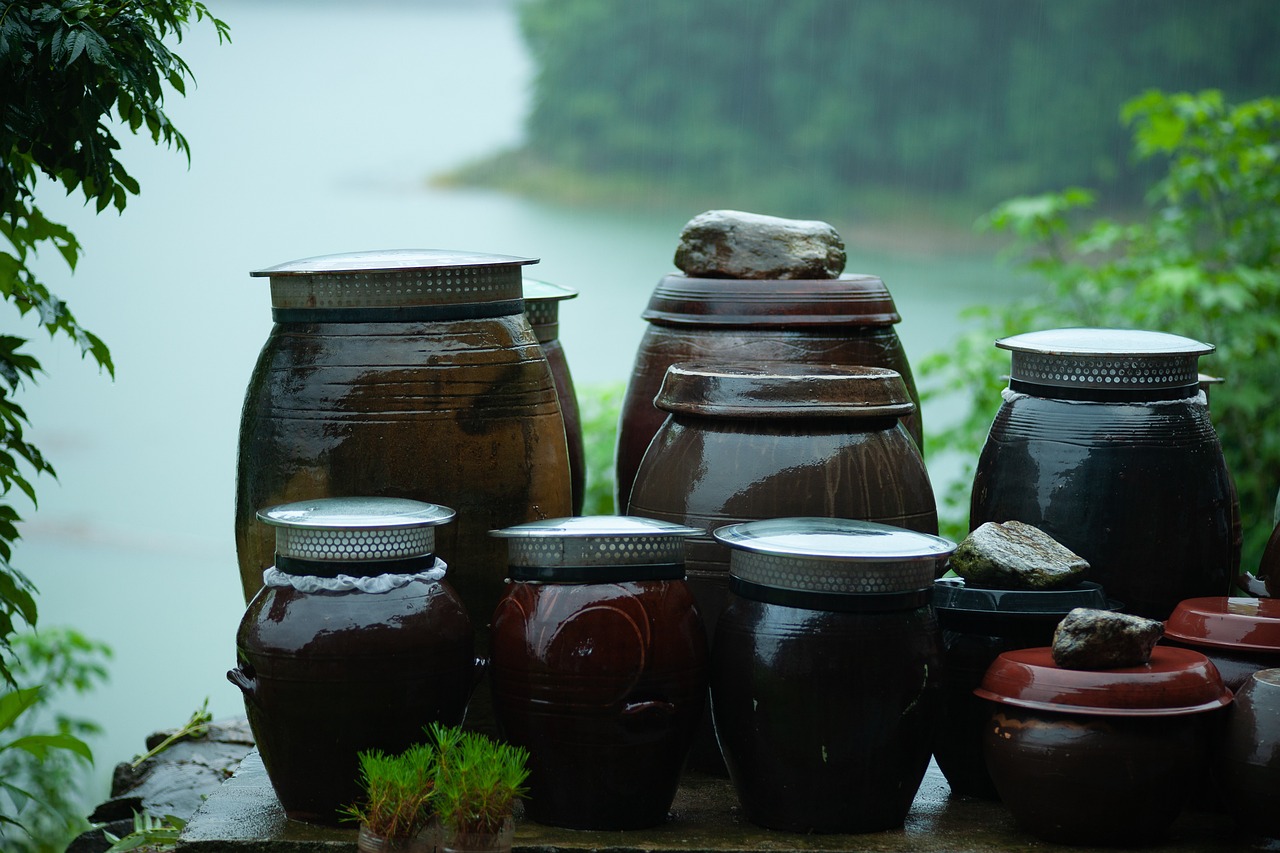 Photo by chulmin1700 jar, rain, lake, korea, water, vase, nature, outdoor