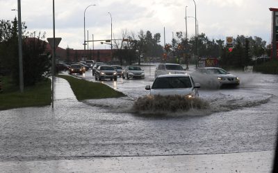 Essential Tips for Surviving Natural Disasters in the City