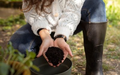 How to Build a Self-Watering Container Garden