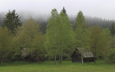 Your Guide on How to Transition from Suburban Life to OffGrid Living
