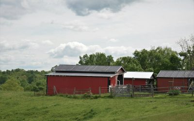 A Week in the Life of an OffGrid Homesteader