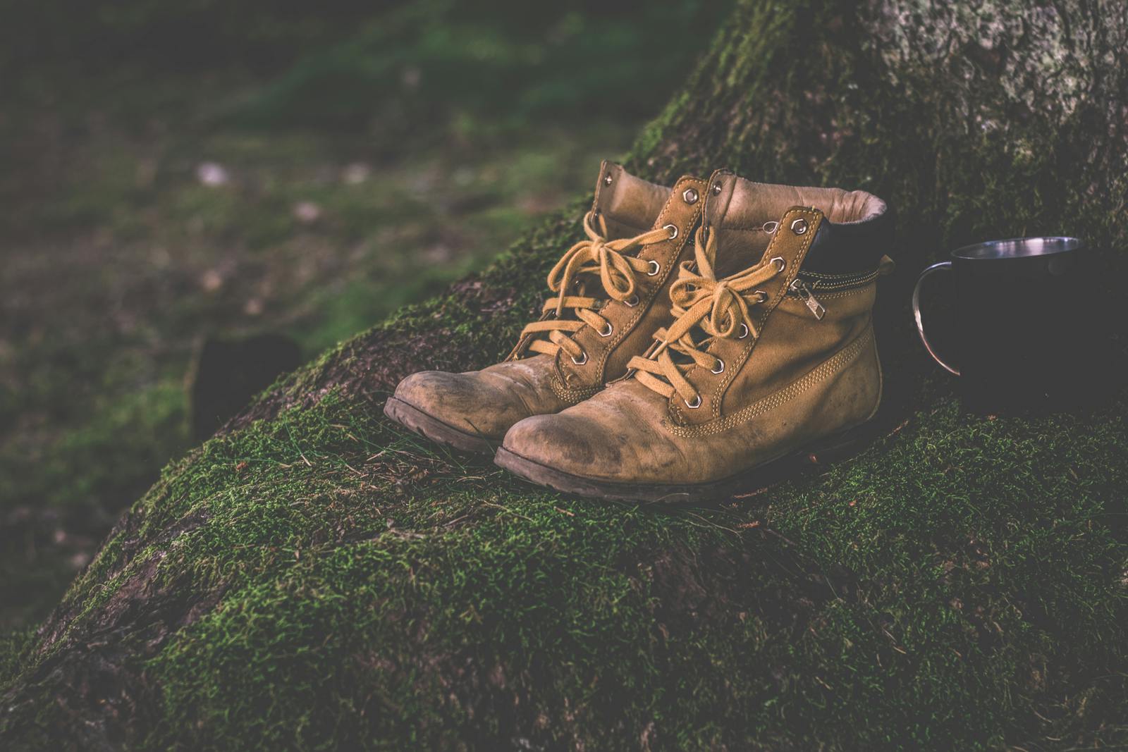 Photo by Lum3n Brown leather hiking boots and cup on a moss-covered forest background, evoking adventure.