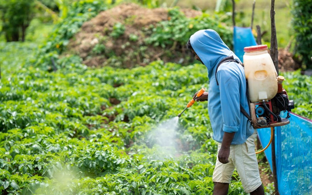 10 Ingenious Methods for Natural Pest Control in Your Garden