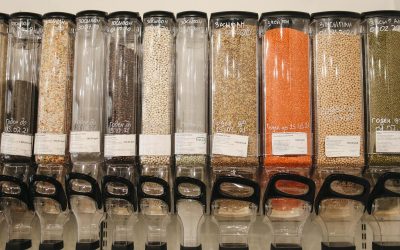 Master the Art of Pest-Free Grain Storage for the Long Term