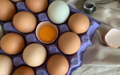 How Many Chickens Do You Really Need for Year-Round Eggs